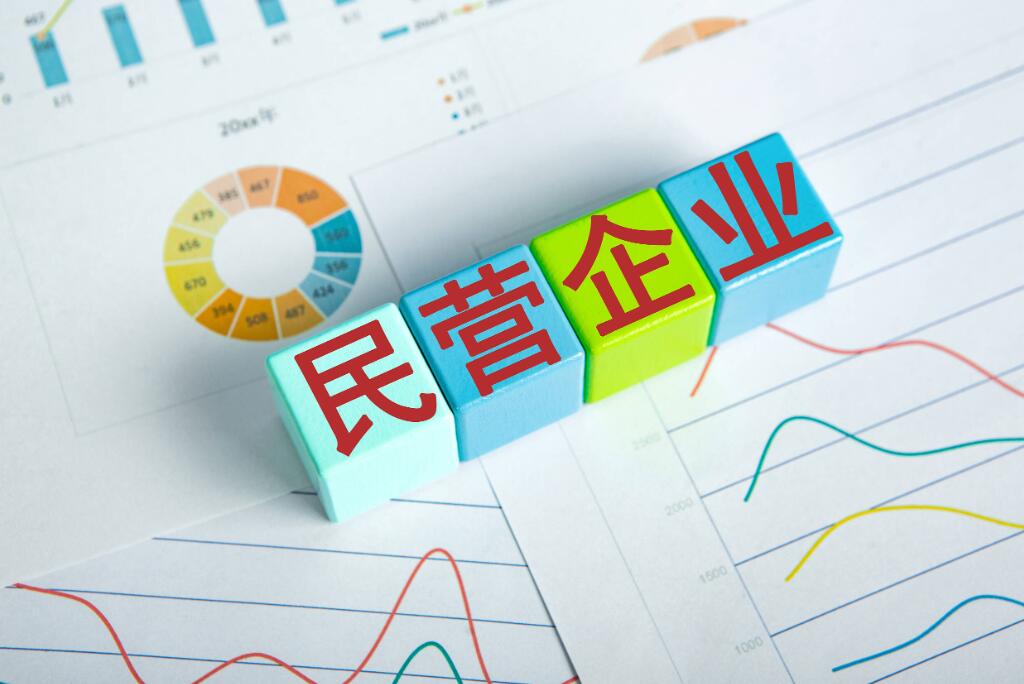 民营经济的潮起潮落：摆不到桌面的批判
